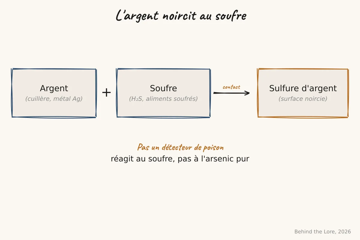 Schéma de la réaction argent-soufre formant du sulfure d'argent noir à la surface d'une cuillère