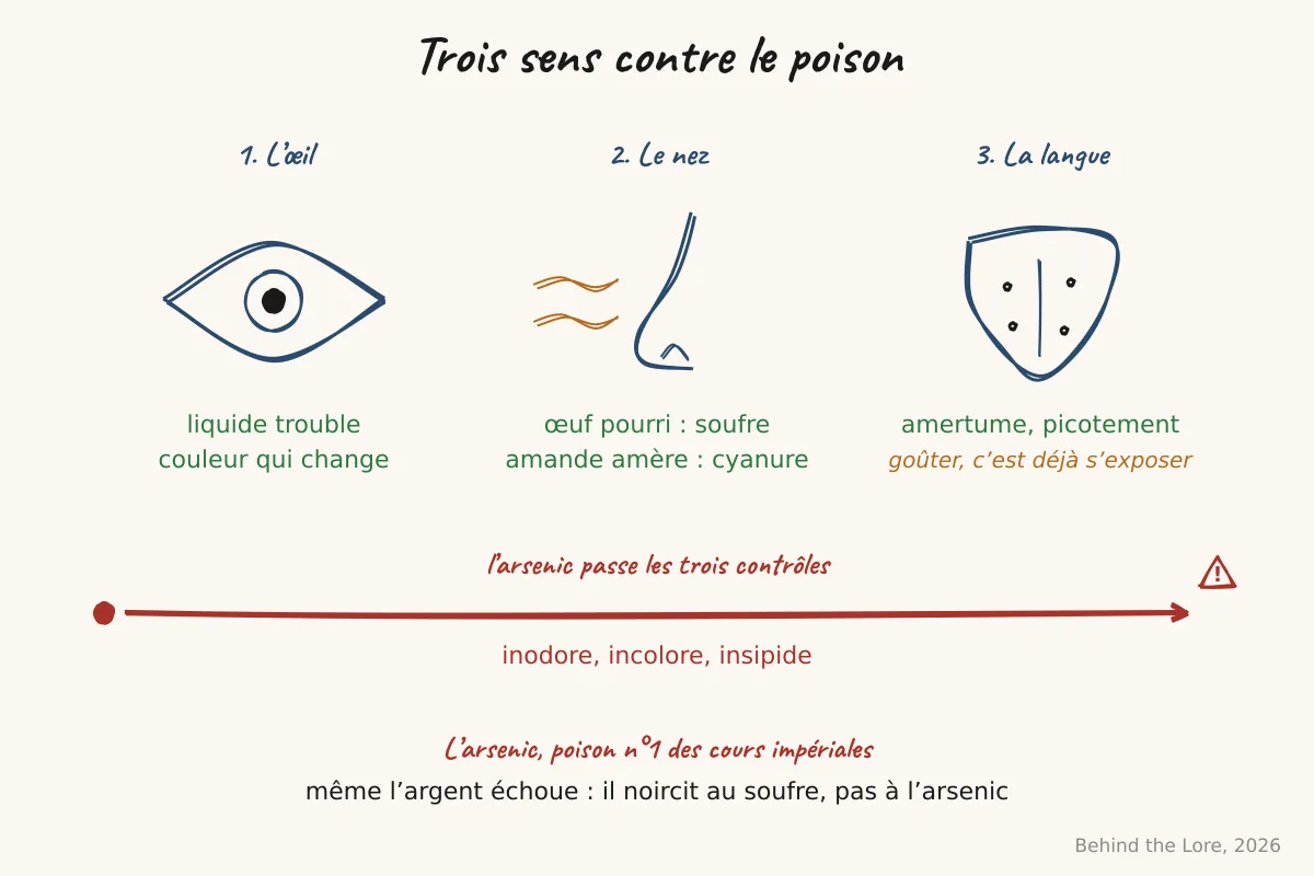Schéma des méthodes sensorielles de détection du poison par la vue, l'odorat et le goût, avec leurs limites face aux toxines inodores et incolores