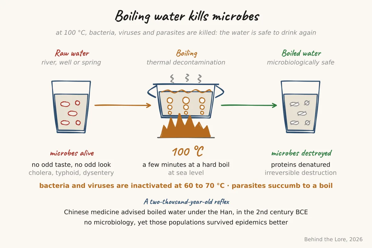 Diagram showing the destruction of pathogenic microorganisms by boiling water