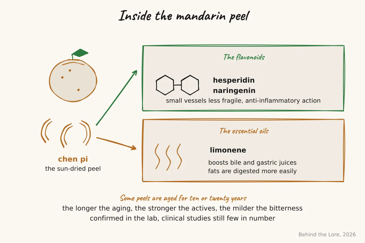 Dried mandarin peel (chen pi) alongside a diagram of the flavonoids hesperidin and naringenin