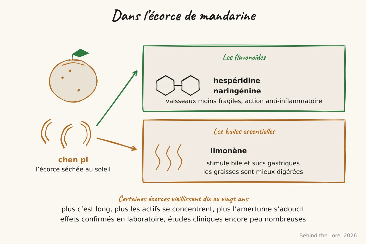 Écorce de mandarine séchée (chen pi) et schéma des flavonoïdes hespéridine et naringénine