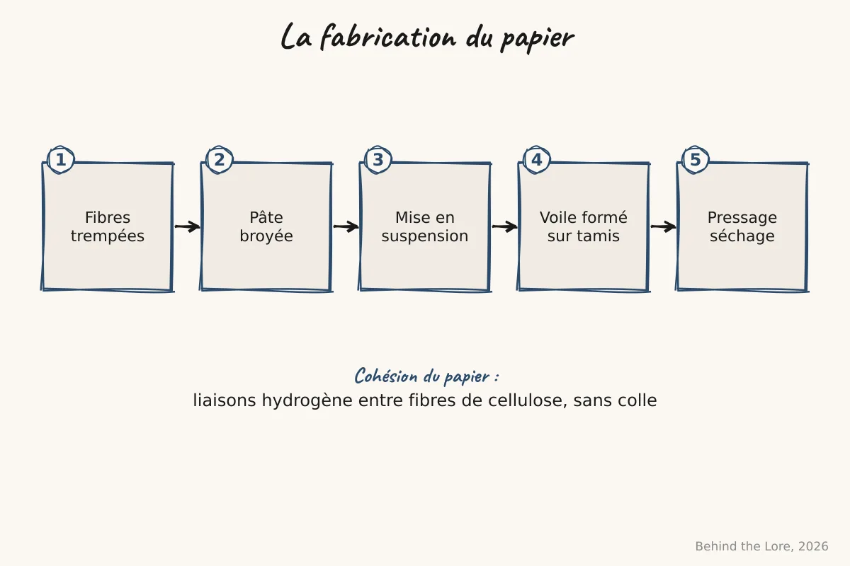 Schéma des étapes de fabrication du papier à partir de fibres végétales cellulosiques sur un tamis