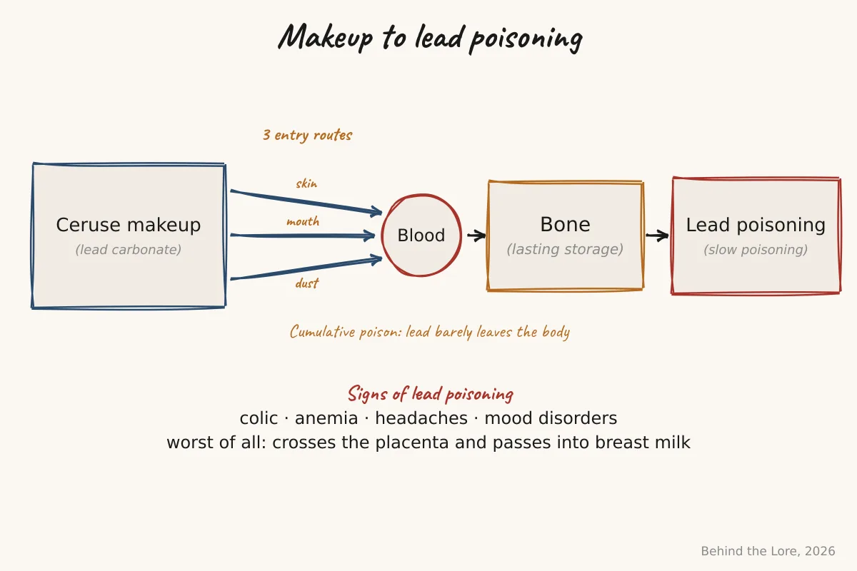 Diagram of the poisoning chain from lead white makeup, from skin to lead poisoning