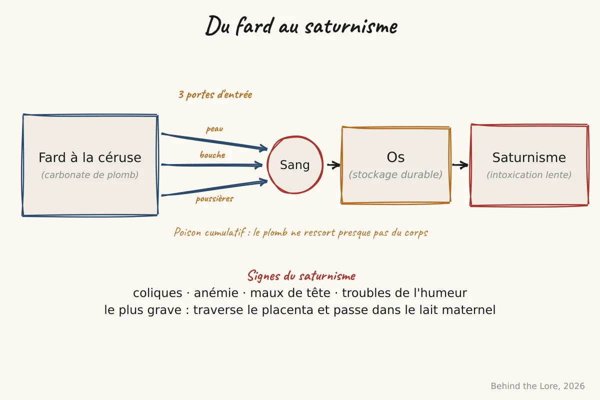 Schéma de la chaîne d'intoxication par le fard blanc au plomb, de la peau au saturnisme