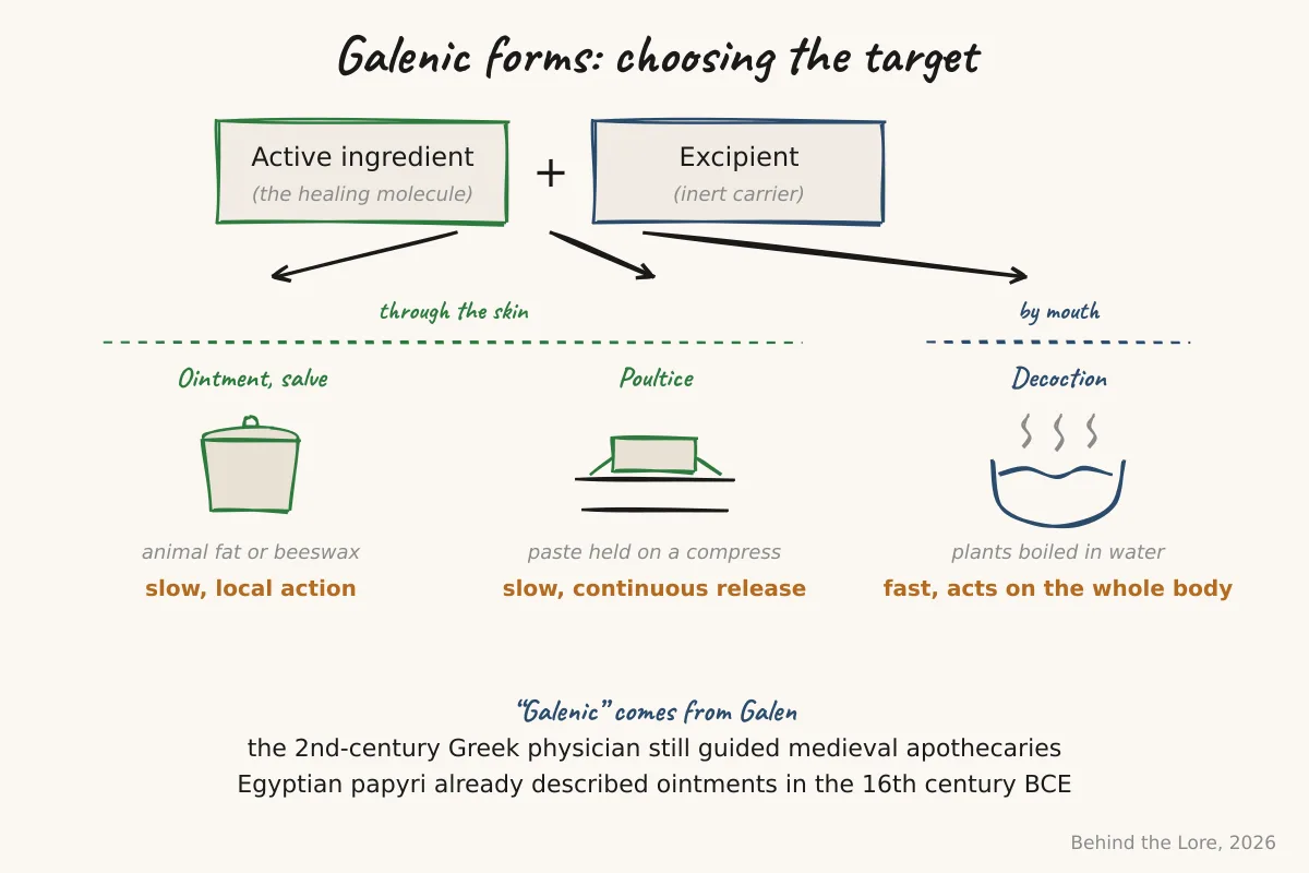 Comparative diagram of topical galenic forms (ointment, salve, decoction, and poultice) with their excipients and absorption routes