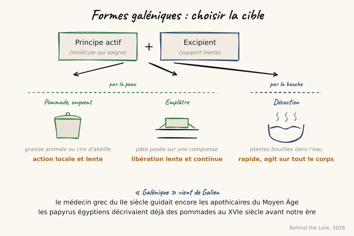 Schéma comparatif des formes galéniques topiques, pommade, onguent, décoction et emplâtre, avec leurs excipients et voies d'absorption