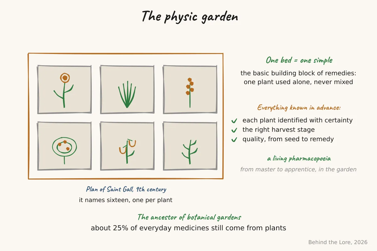 Plan of a physic garden laid out in squares, one square per plant, after the Saint Gall plan