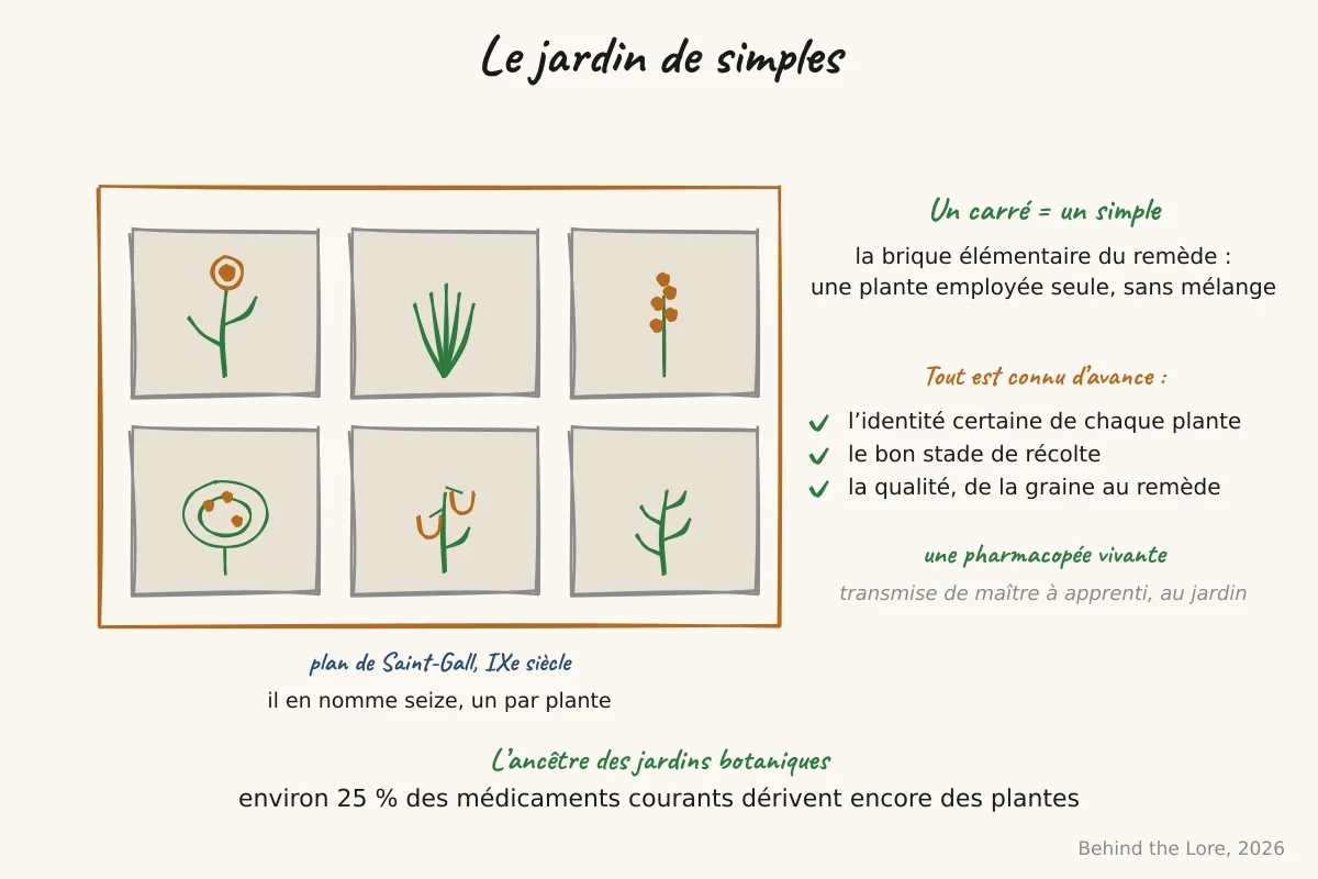 Plan d'un jardin de simples en carrés, un carré par plante, d'après le plan de Saint-Gall