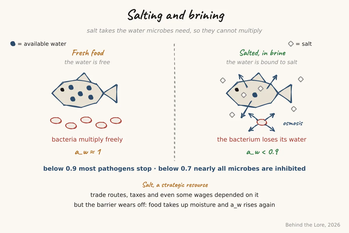 Diagram of osmosis during salting and the loss of water activity in salt-preserved food
