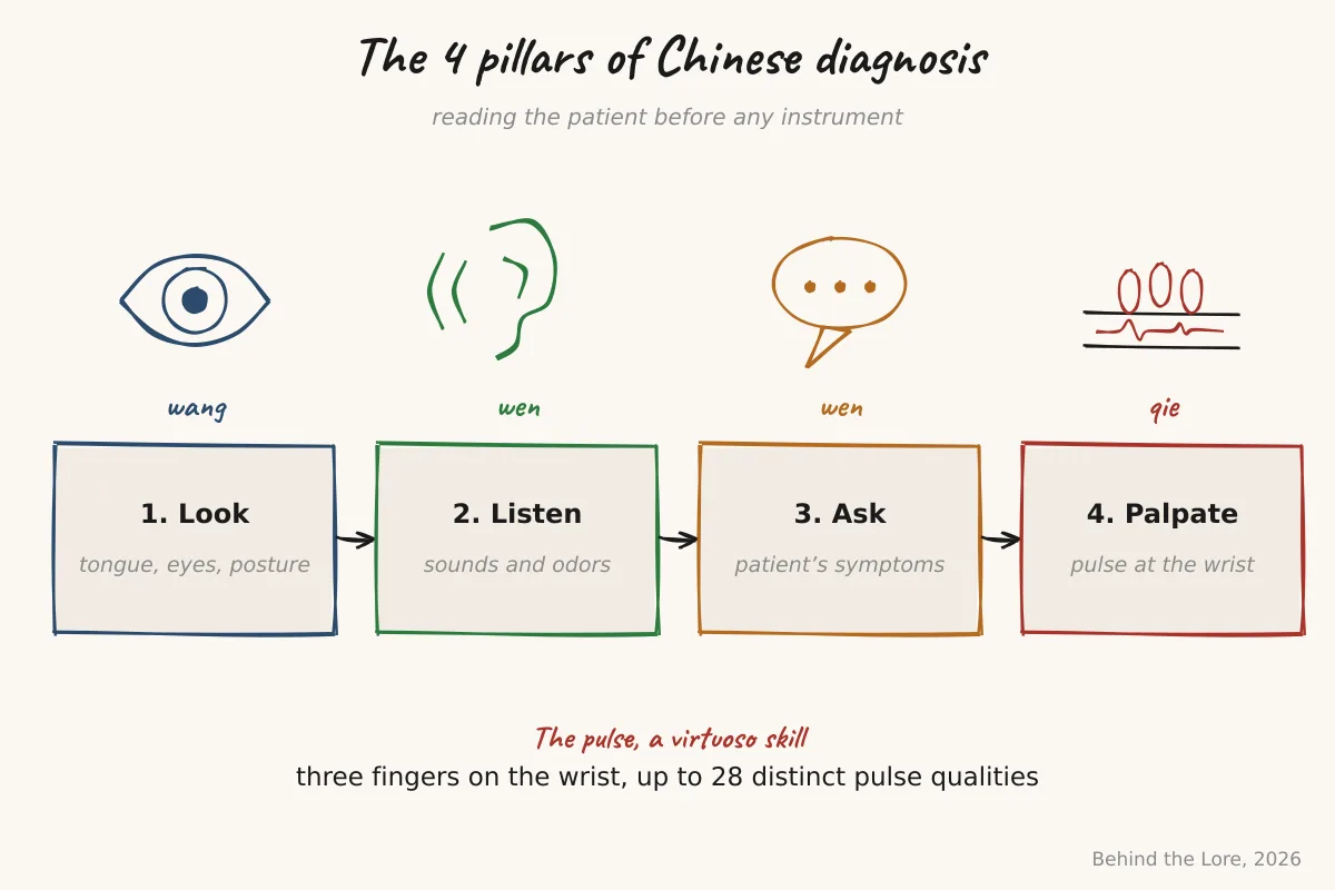 Diagram of the four pillars of traditional Chinese clinical diagnosis: inspection, auscultation-olfaction, interrogation, palpation