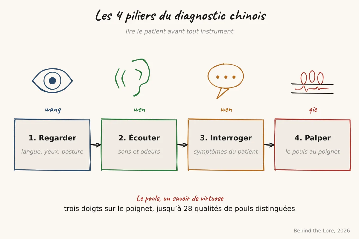 Schéma des quatre piliers du diagnostic clinique traditionnel chinois : inspection, auscultation-olfaction, interrogatoire, palpation