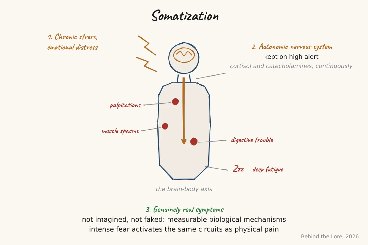 Diagram of the brain-body axis showing how stress activates the autonomic nervous system and produces real physical symptoms