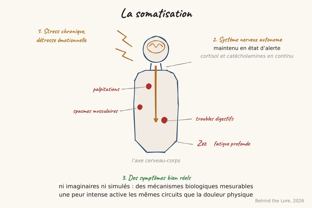 Schéma de l'axe cerveau-corps montrant comment le stress active le système nerveux autonome et produit des symptômes physiques réels