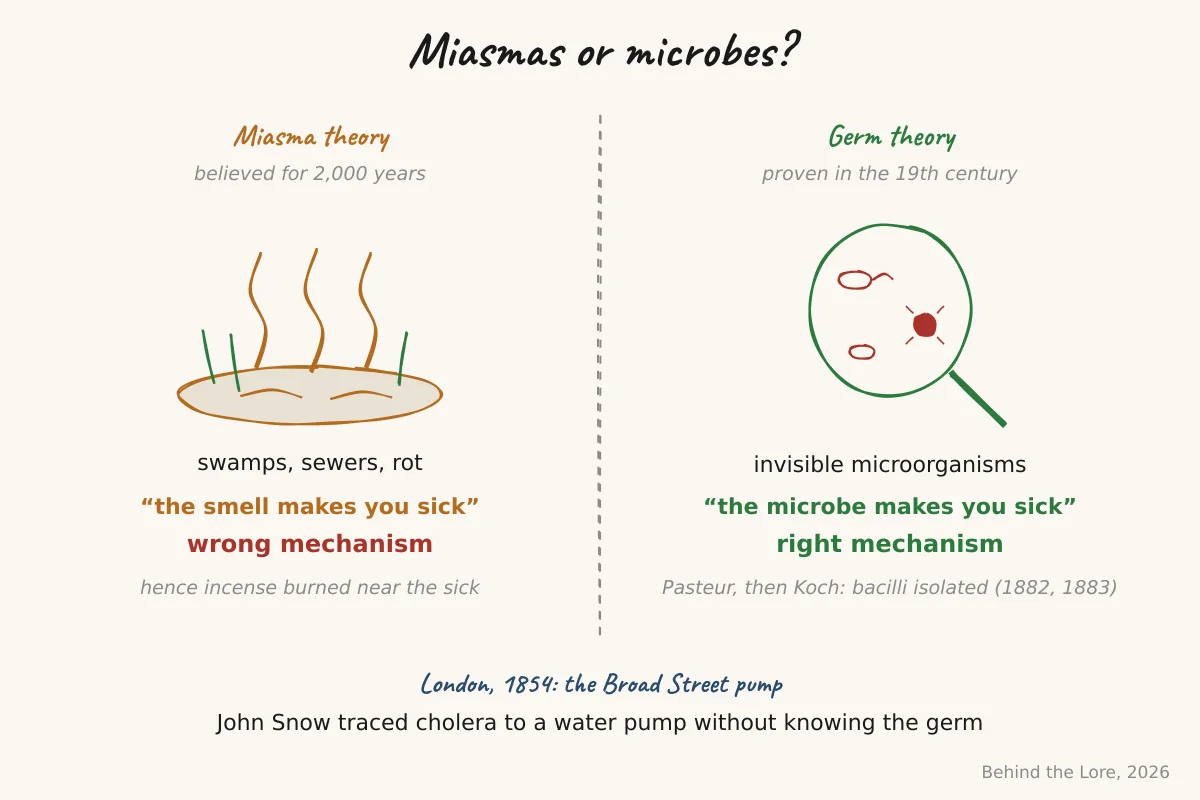 Diagram comparing miasma theory (foul air) and germ theory (pathogenic microbes)