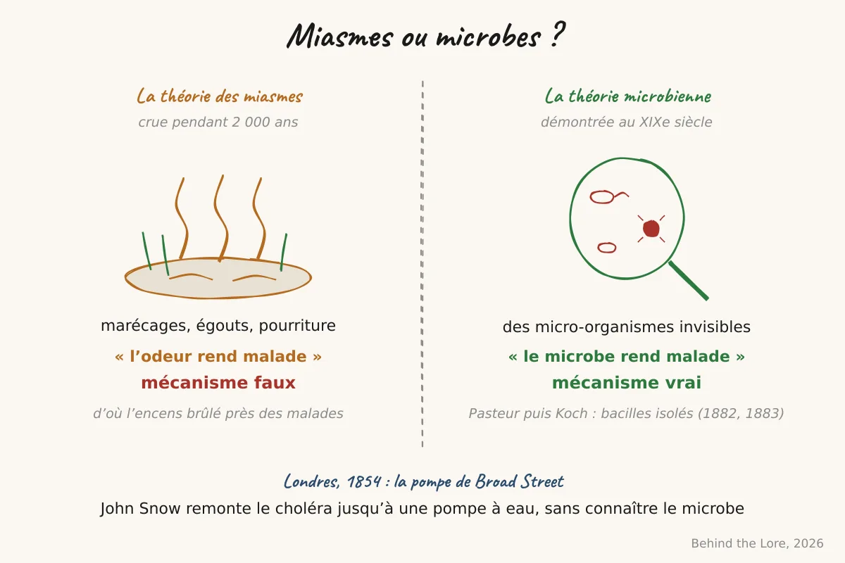 Schéma comparant la théorie des miasmes (air vicié) et la théorie microbienne (germes pathogènes)