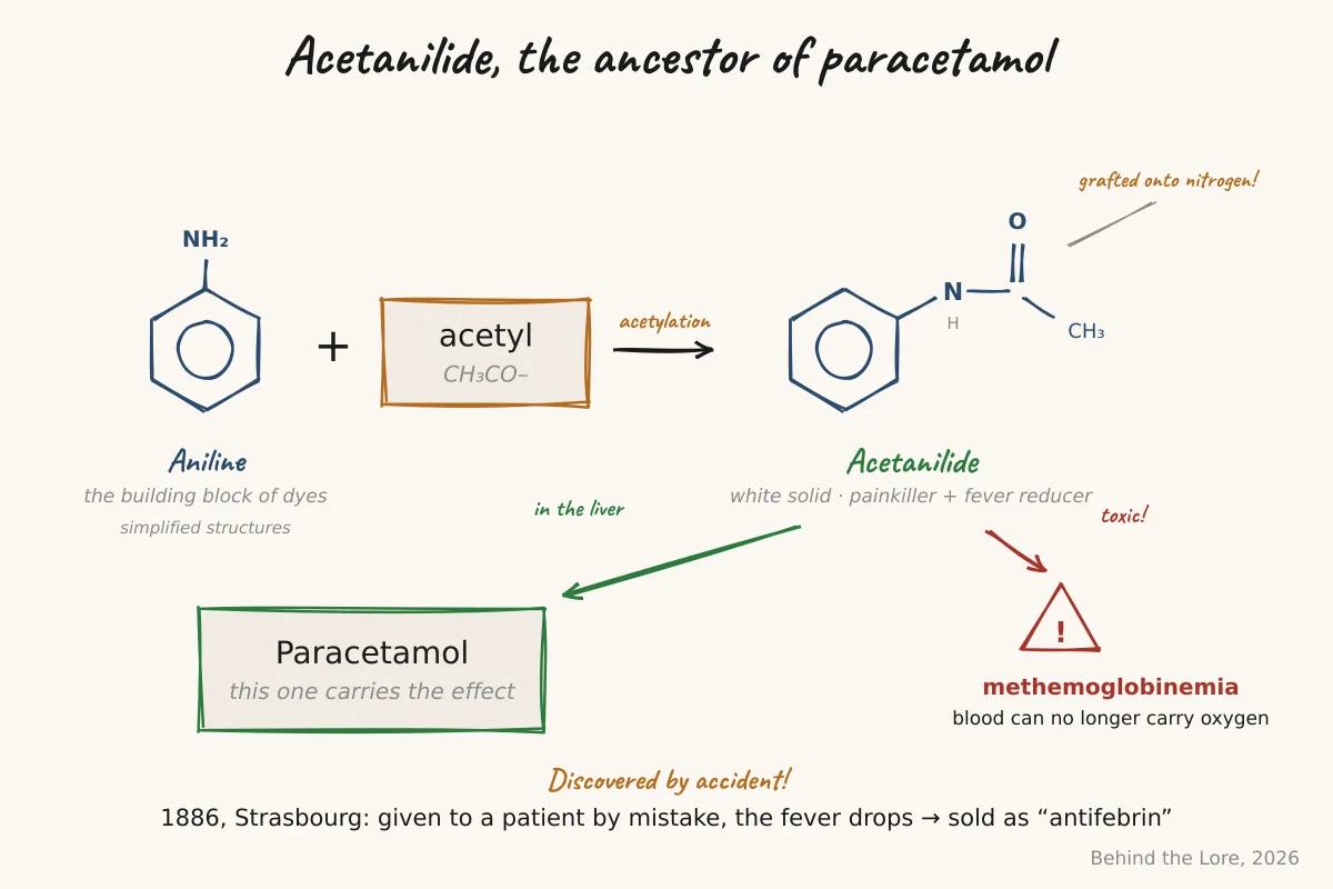 Diagram of the acetanilide molecule obtained by acetylation of aniline, presented as a historical analgesic and antipyretic
