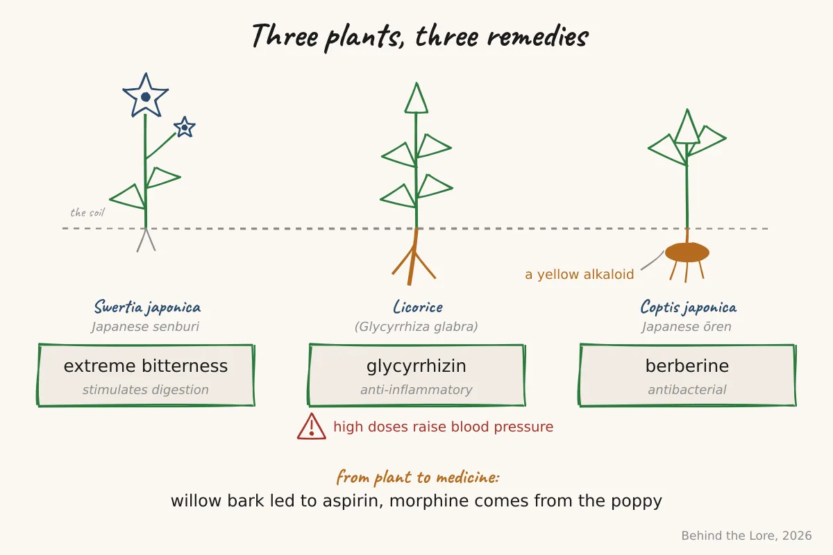 Diagram of three medicinal plants (Swertia japonica, licorice, Coptis japonica) and their active compounds